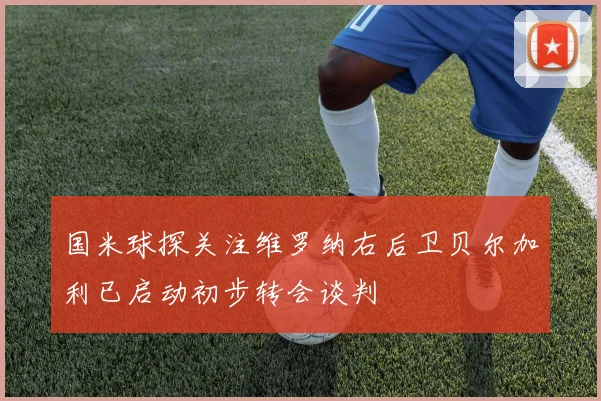 国米球探关注维罗纳右后卫贝尔加利已启动初步转会谈判