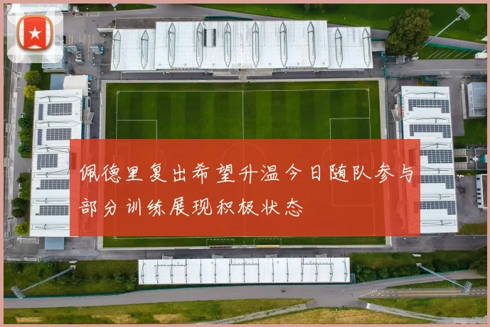 佩德里复出希望升温今日随队参与部分训练展现积极状态