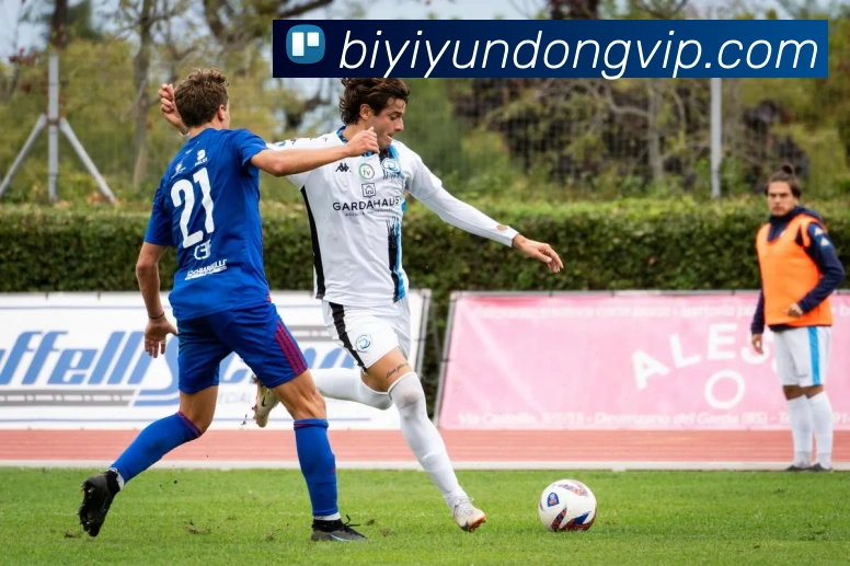 必一体育平台生态图