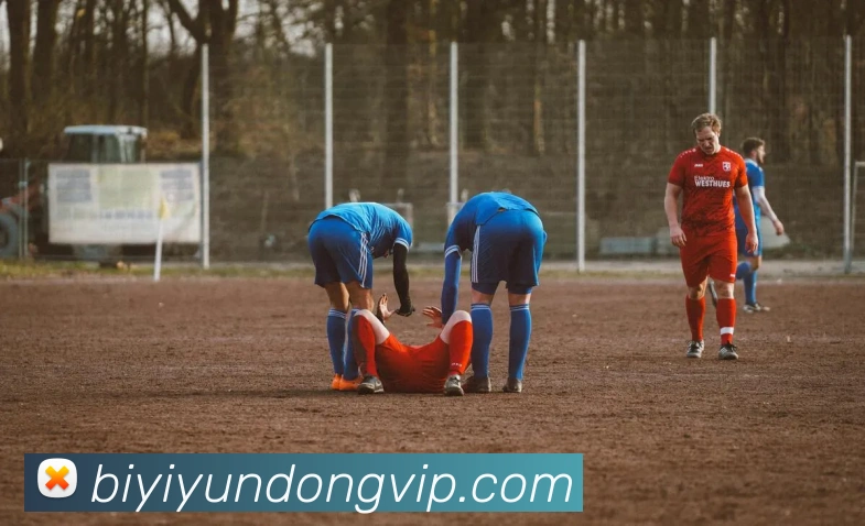 必一体育APP 封面图